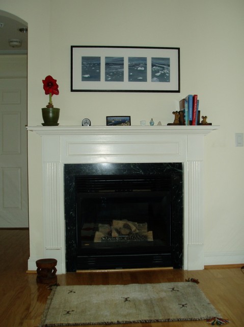 Our mantel at The Kennedy-Warren in DC. Evening Ice in Antarctica by Maria Coryell-Martin, October 2006.